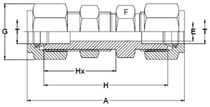 Stainless-Steel-Compression-Bulkhead-Unions
